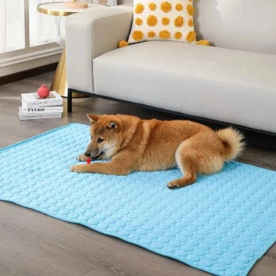 tapis-rafraichissant-pour-animaux-de-compagnies-coolpad-250813.webp__PID:8eec4cd4-a08f-409b-ba9d-5b9dfaa9dfbf